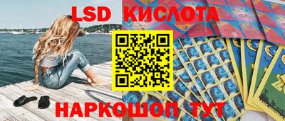 стаф Сланцы