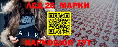 стаф Сланцы