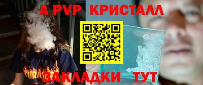 стаф Сланцы