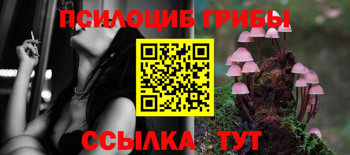 Псилоцибиновые грибы мицелий Белогорск